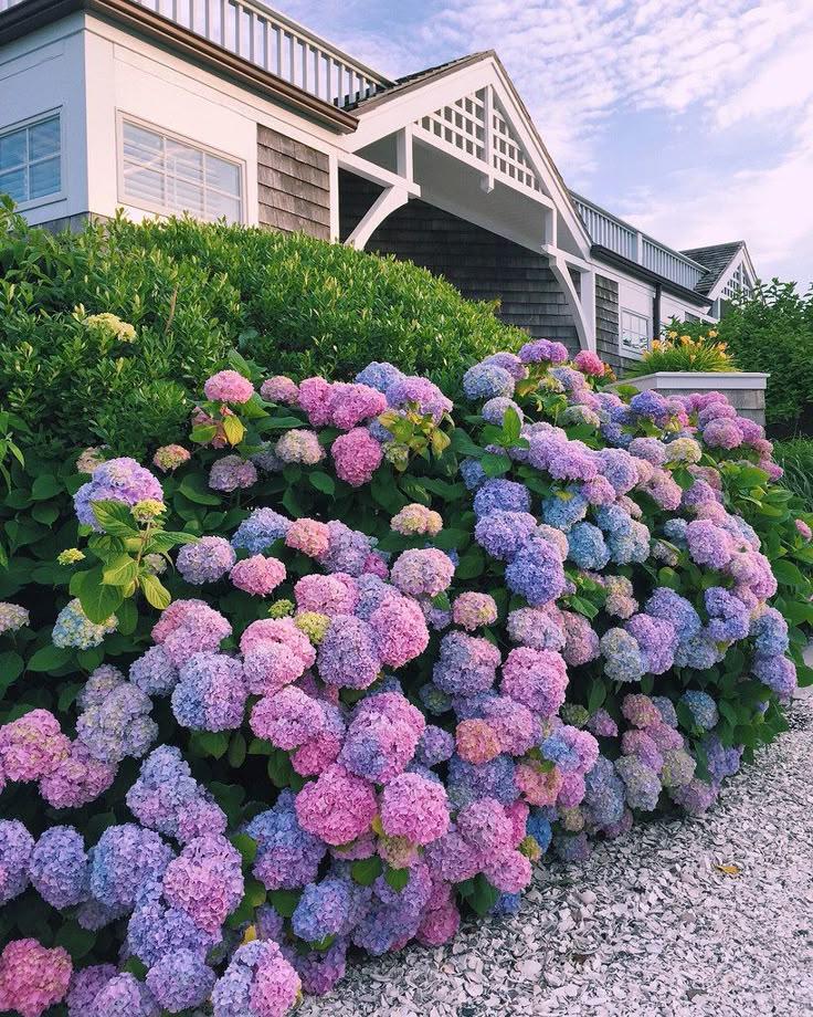 Vintage Cascade of Floral Wonders